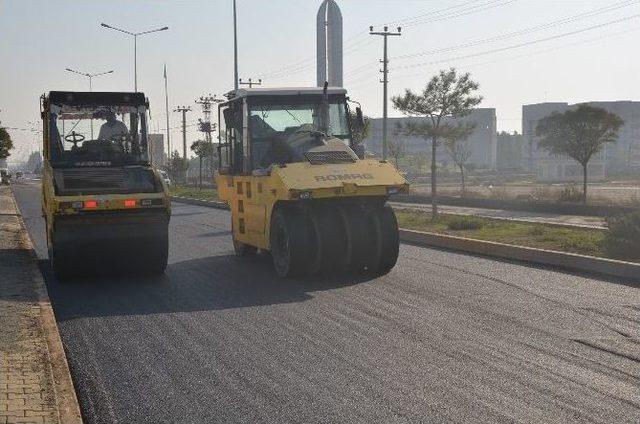 Iğdır Belediyesi’nden Asfalt Çalışması