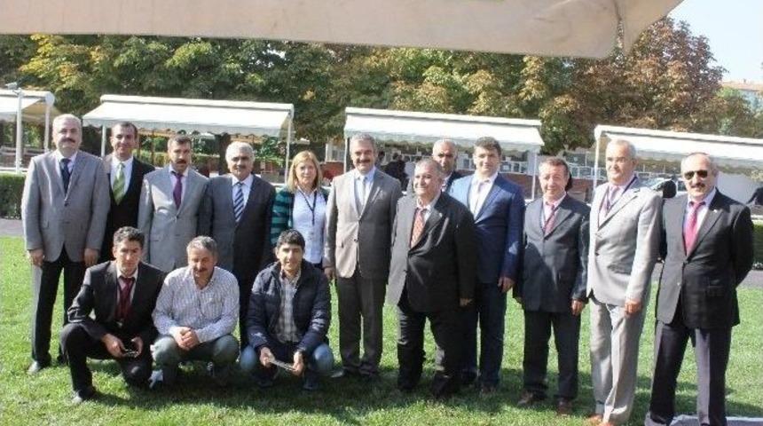 Geleceğin Yarış Atları Kapış Kapış Satıldı