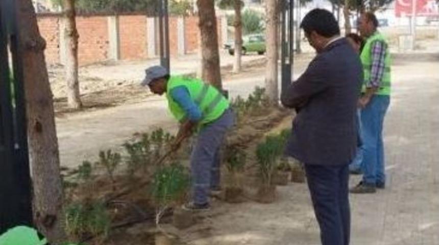 Sarıg&ouml;l Belediyesi Yeni Sanayi Girişini &Ccedil;i&ccedil;eklerle Donattı