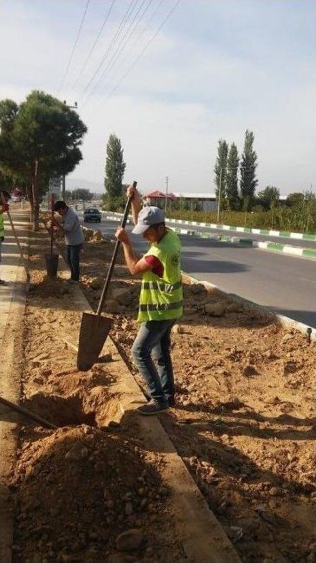 Sarıgöl Belediyesi Yeni Sanayi Girişini Çiçeklerle Donattı