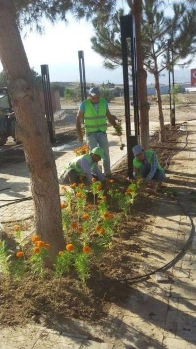 Sarıgöl Belediyesi Yeni Sanayi Girişini Çiçeklerle Donattı