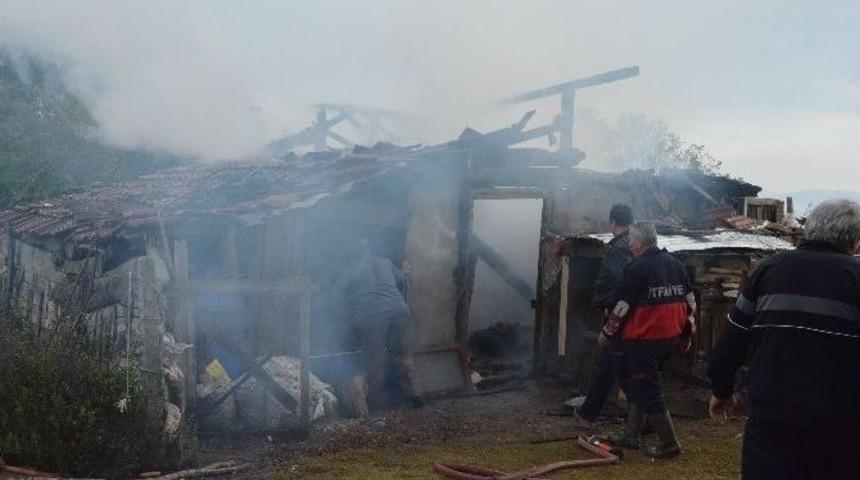 Sinop&rsquo;ta Odunluk Yangını Korkuttu