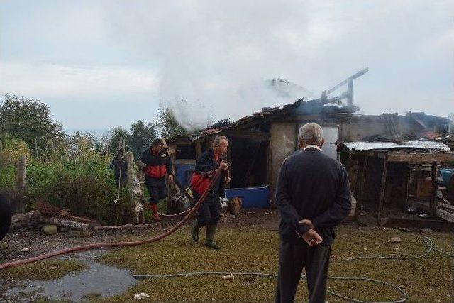 Sinop’ta Odunluk Yangını Korkuttu