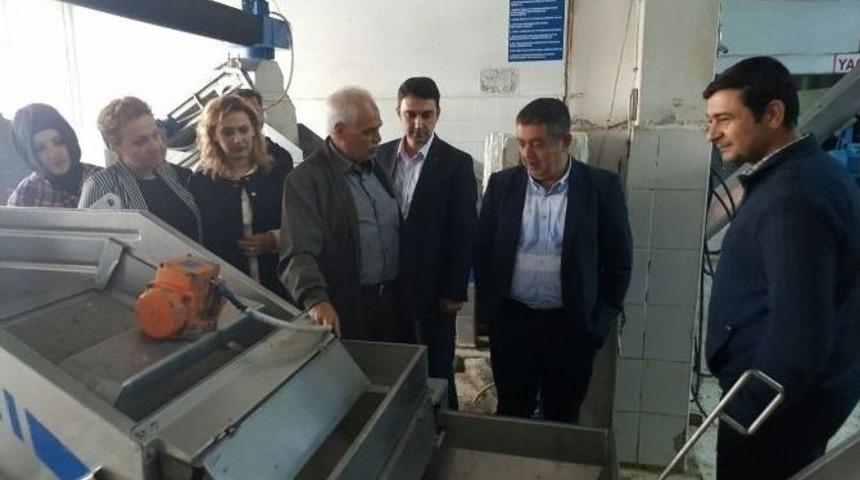 Ali Aydınlıoğlu &Ccedil;alışmalarına Devam Ediyor