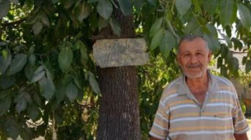 Bu Ağa&ccedil;tan Meyve Yemek Helal