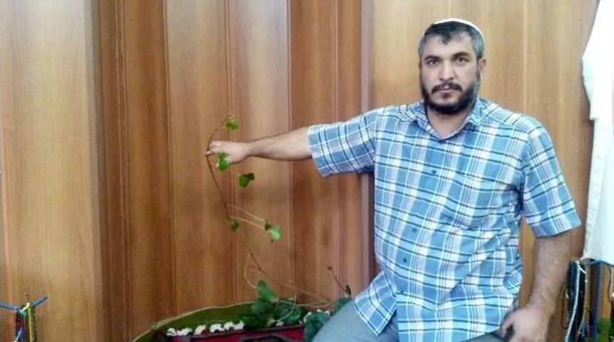 Mihrapta &Ccedil;i&ccedil;ekler A&ccedil;tı