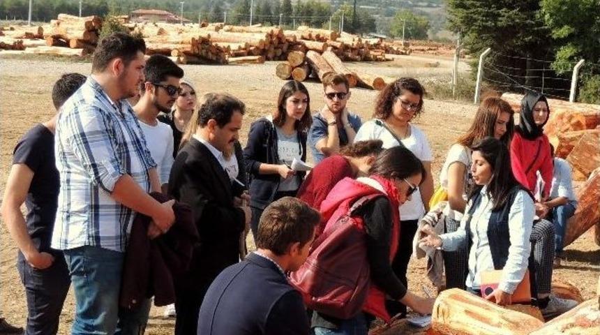 M&uuml;hendis Adaylarına Eğitim