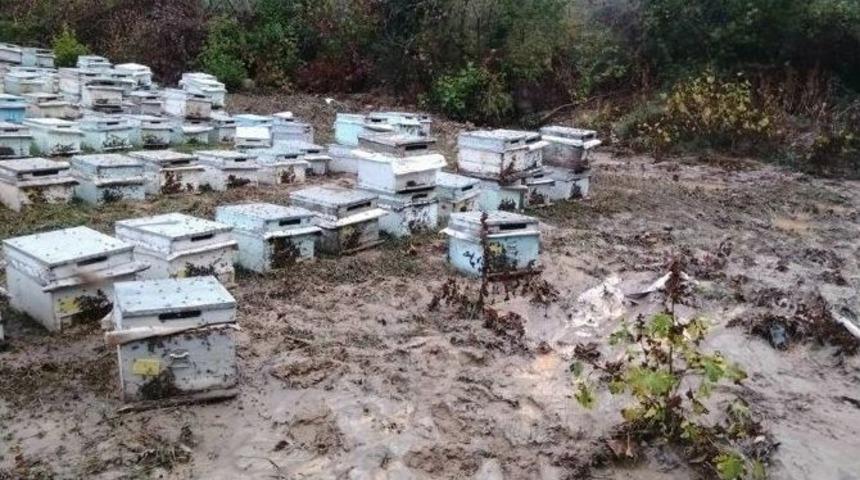 Sel Baskını Arıcıları Da Olumsuz Etkiledi