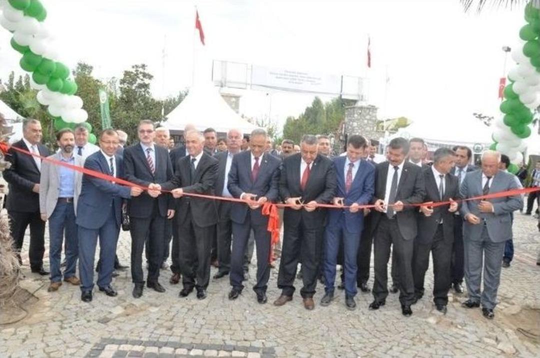 &Ouml;demiş S&uuml;s Bitkileri Ve Fidan Sergisi 11. Kez A&ccedil;ıldı