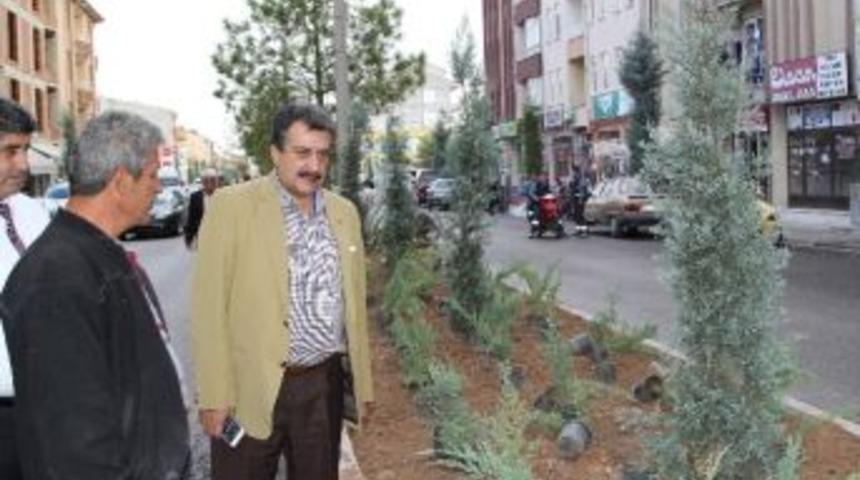 Cihanbeyli&rsquo;de Yeşil Alan &Ccedil;alışmaları