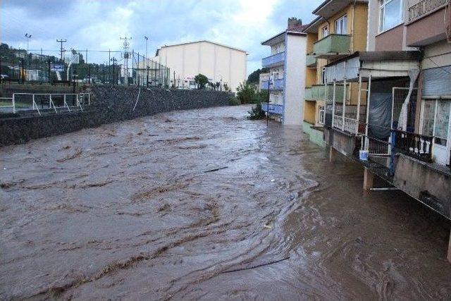 Selzedelerin Mağduriyetleri Giderilmedi