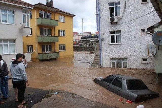 Selzedelerin Mağduriyetleri Giderilmedi