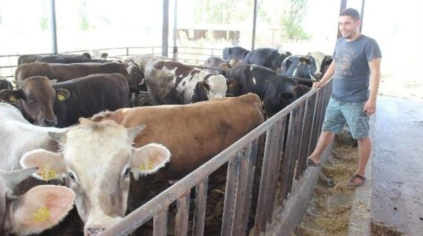 Biriktirdiği Okul Har&ccedil;lığı İle Kuzu Alarak Başladı, Şimdi &Ccedil;iftlik Sahibi