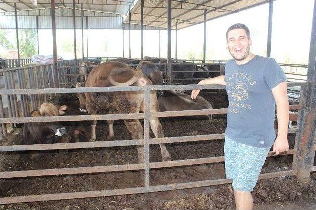 Biriktirdiği Okul Harçlığı İle Kuzu Alarak Başladı, Şimdi Çiftlik Sahibi