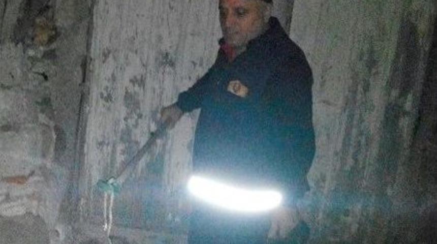 Sungurlu Da Yılan Alarmı