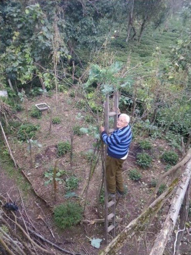 3,5 Metre Boyunda Kara Lahana Olur Mu Demeyin !