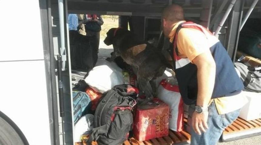 Otob&uuml;s Bagajlarında Uyuşturucu Aradılar