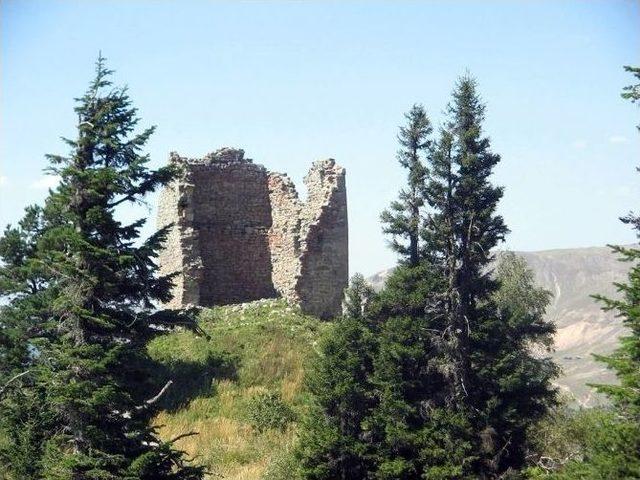 Gürcistanlı Araştırmacılar Selim Paşa’nın Kesik Başını Arıyorlar