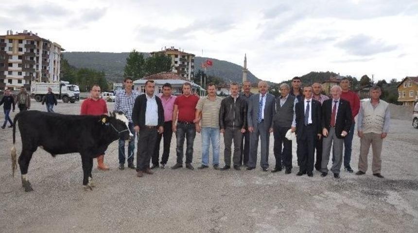 Azdavay Karayolları İş&ccedil;ilerin Kadro Sevinci