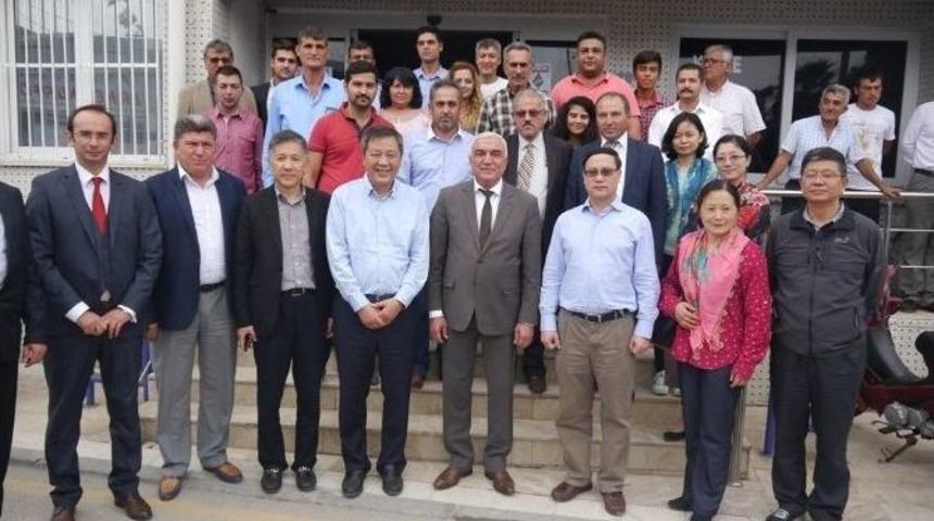 Yumurtalık&rsquo;a İkinci Termik Santral Kurulacak