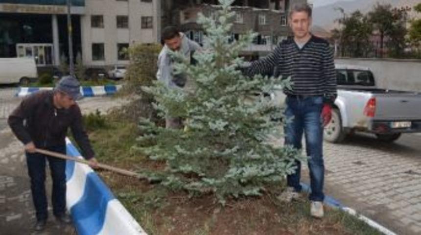 Hakkari&rsquo;de Fidanlar Toprakla Buluşuyor