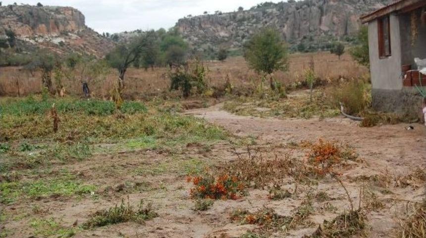 İhsaniye&rsquo;de Sel Felaketi