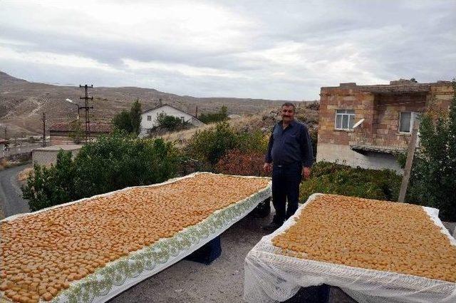 Kaymakam Balcı Köylüler İle ’köftür’ Yaptı