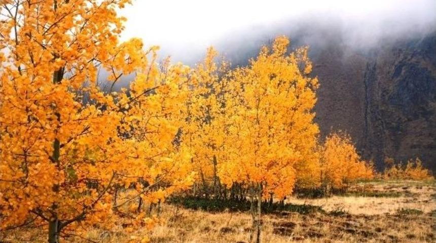 Doğa Harikası Nemrut&rsquo;ta Sonbahar