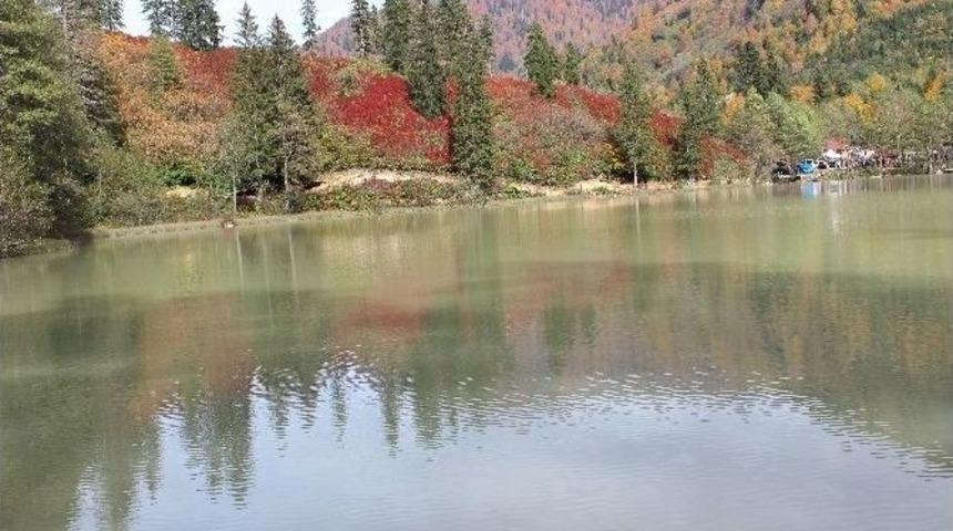 Karag&ouml;l Sonbahar&rsquo;da Kayıt Altına Alınıyor