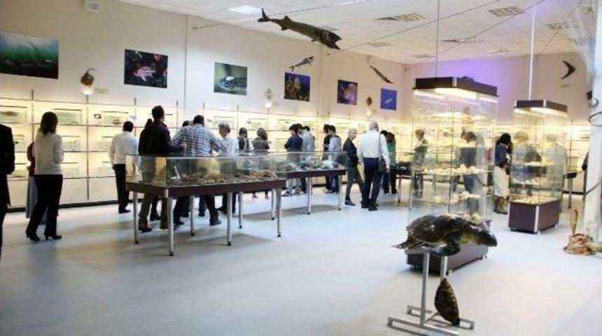 İk&ccedil;&uuml;&rsquo;den İzmir&rsquo;e Deniz Canlıları Merkezi