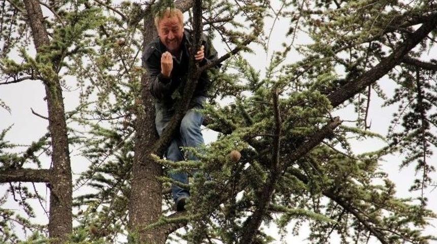 İşsiz Kalan Şahıs Ağaca Çıktı