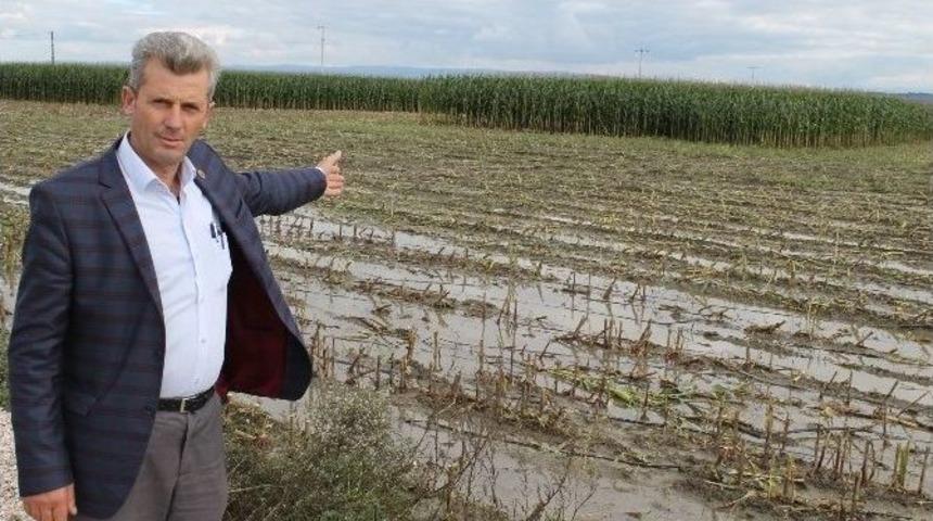 (&ouml;zel Haber) 4 Bin 500 D&ouml;n&uuml;m Mahsul Sular Altında Kaldı