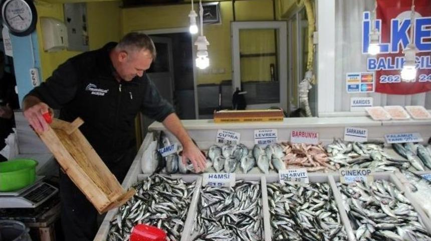 Satışlar Arttı Balık&ccedil;ının Y&uuml;z&uuml; G&uuml;ld&uuml;