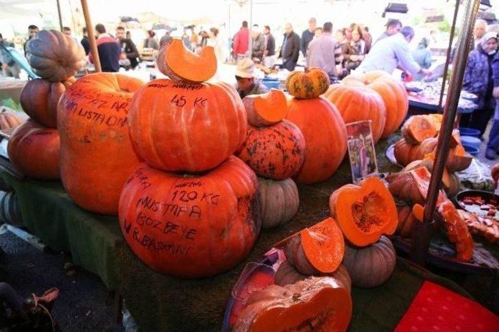 (özel Haber) 145 Kiloluk Kabak Görenleri Şaşkına Çeviriyor... G3