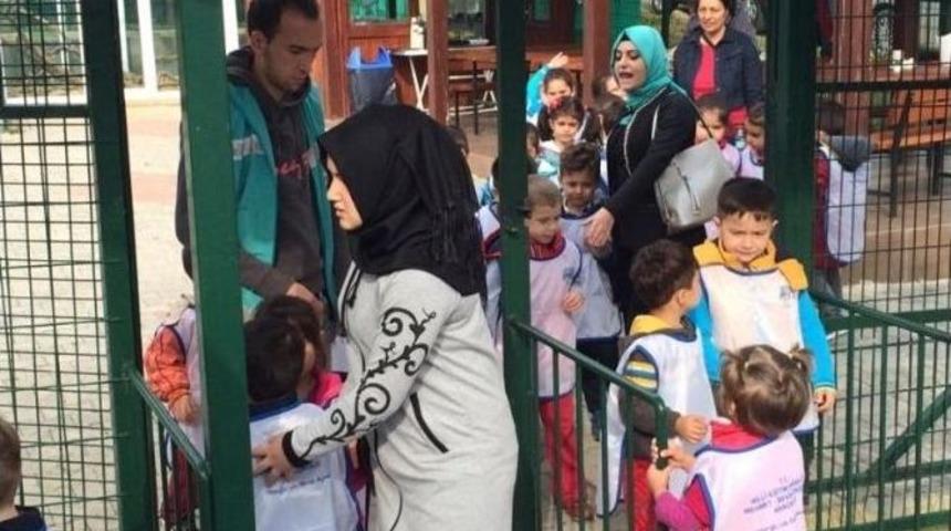 Giresun&rsquo;da Hayvanat Bah&ccedil;esi &Ouml;ğrencilerin İlgisini &Ccedil;ekiyor