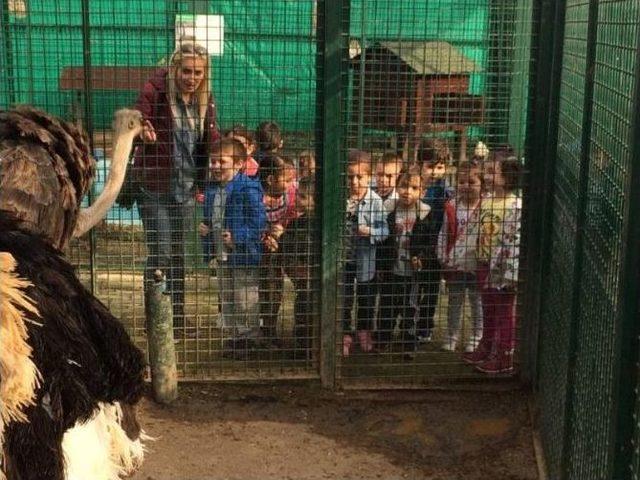 Giresun’da Hayvanat Bahçesi Öğrencilerin İlgisini Çekiyor