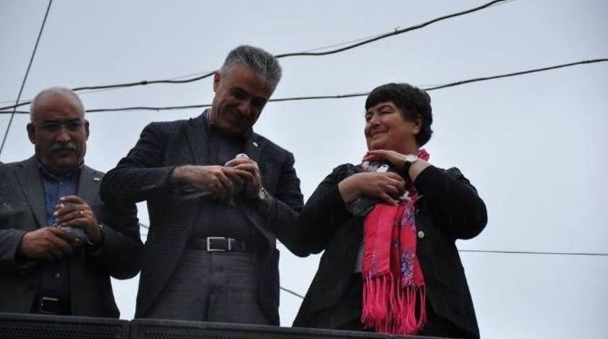 Hdp&rsquo;li Vekiller Barışı Simgeleyen G&uuml;vercin U&ccedil;urdu