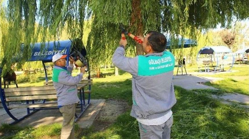 Parklara Ve Ağa&ccedil;lara Kış Bakımı