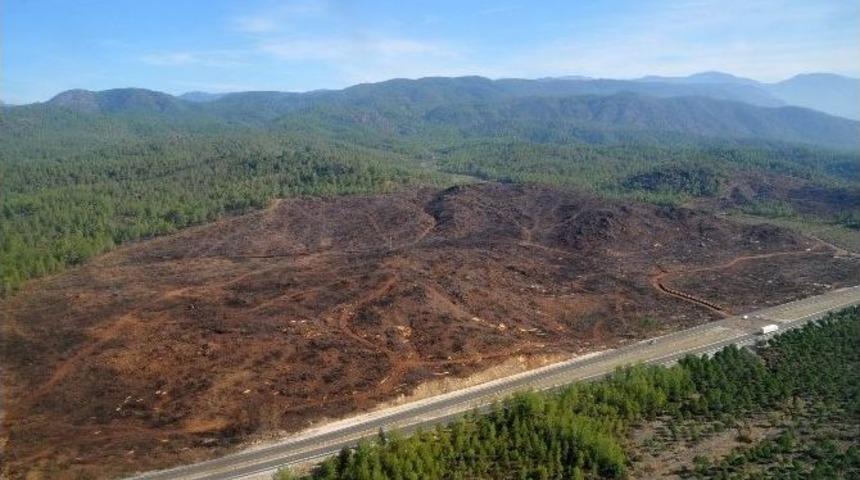 Yanan Alanlar Havadan İncelendi