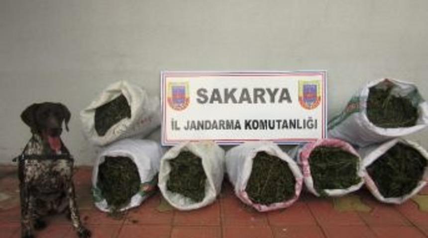 Sakarya&rsquo;da 27 Kilo Esrar Ele Ge&ccedil;irildi