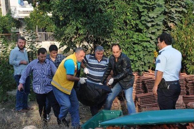 Başına Taşla Vurularak Öldürüldü