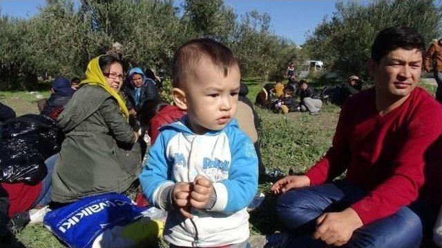 Çanakkale’de Bin Göçmen Yakalındı