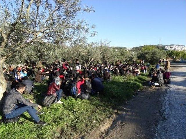 Çanakkale’de Bin Göçmen Yakalındı