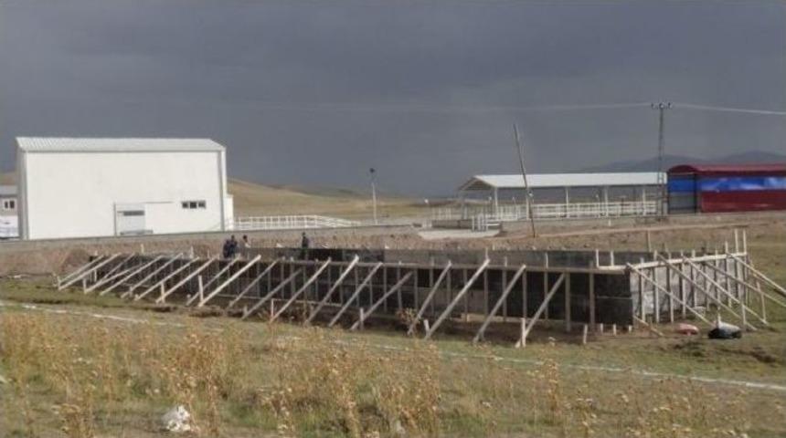 &Ouml;zalp&rsquo;ta Yeni Hayvan Pazarı A&ccedil;ıldı