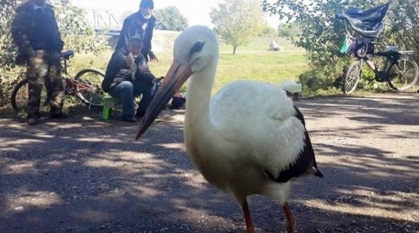 &lsquo;fuat Avni&rsquo; Edirne&rsquo;de Ortaya &Ccedil;ıktı