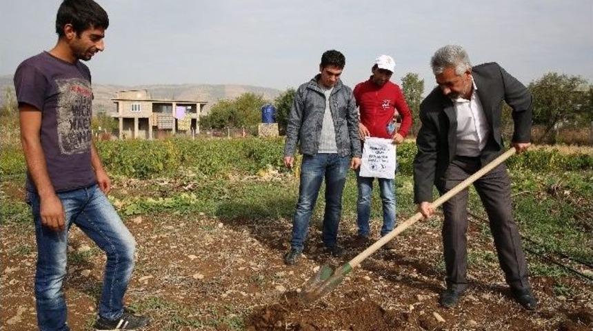 Organik Tarımın Startı Lice&rsquo;de Verildi