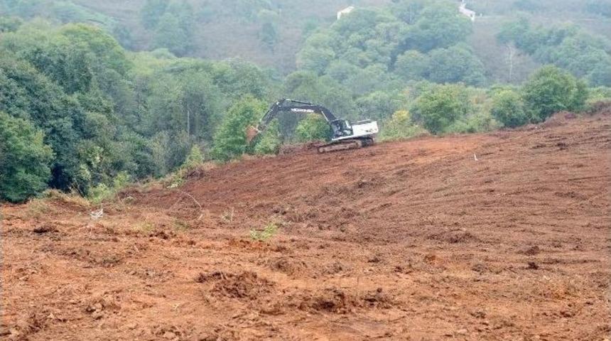 Milletvekili Balta, Beşikd&uuml;z&uuml; İl&ccedil;esinde İncelemelerde Bulundu