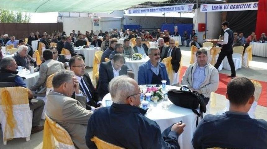 Damızlık Ve Sığır Yetiştiricileri Birliği D&uuml;ve Satışına Devam Ediyor