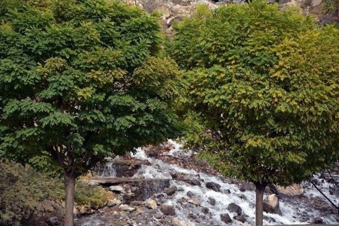 Kanisipi Şelalesi&rsquo;nin Erken Akması Şaşkınlığa Yol A&ccedil;tı