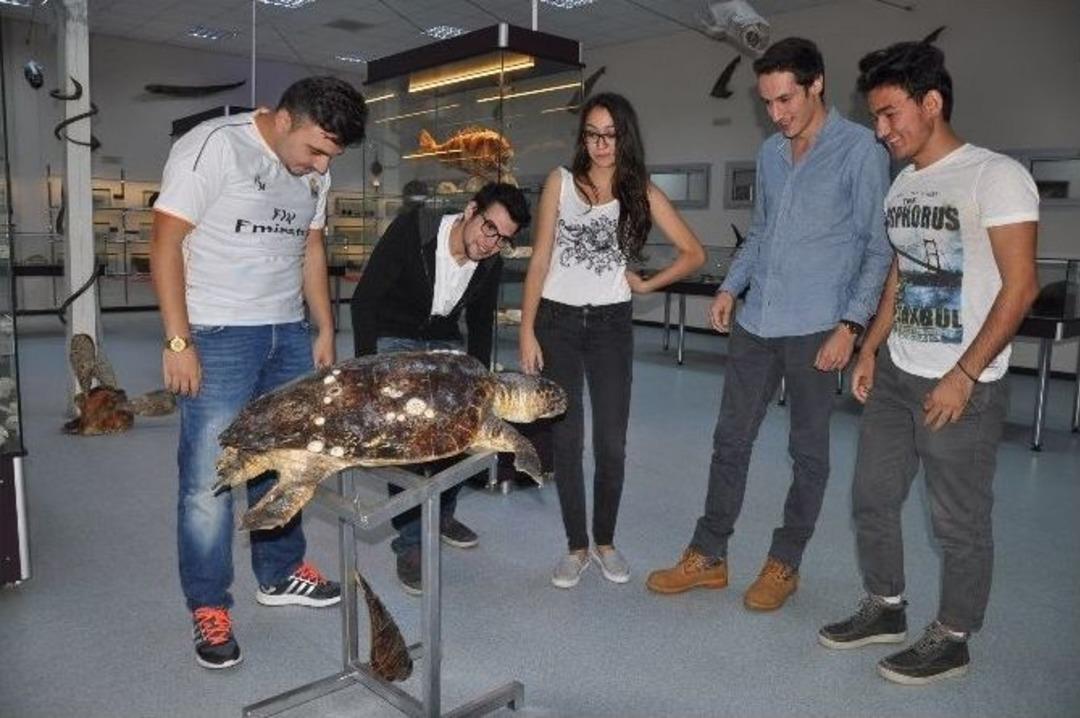 (&ouml;zel Haber) Denizde Yaşayan Canlıların M&uuml;zesi